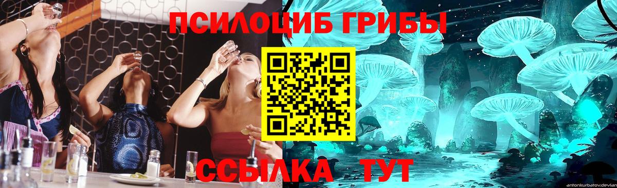Азнакаево  Галлюциногенные грибы Psilocybine cubensis  Вход с VPN  купить закладку  Галлюциногенные грибы Psilocybine cubensis 